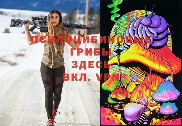 прущий лед Алексин