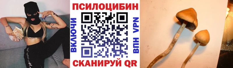 Псилоцибиновые грибы Magic Shrooms  Нижняя Салда 
